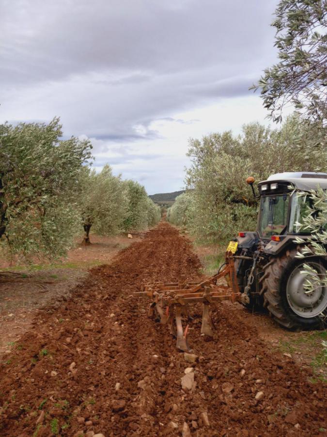 Escale Au Salagou Le Bosc  Екстериор снимка